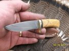 218131095oliveblade.jpg 218131095oliveblade.jpg
