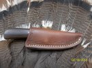 218131095zircotesheath.jpg