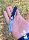 Bunny_Knife_Gang.jpg