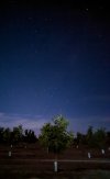 PXL_20230111_173340881.NIGHT.jpg