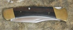 110.3-Linr.2-Pin.011423  (1).JPG