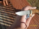 12713mapleneckblade.jpg