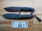 Ashwhackers and Ash Comparison 6 inch 2.jpg