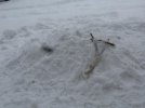 IMG_2605.jpg