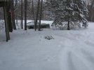 IMG_2599.jpg