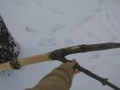 IMG_2600.jpg