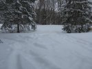 IMG_2598.jpg
