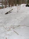 IMG_2633.jpg
