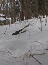 IMG_2634.jpg
