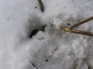 IMG_2641.jpg