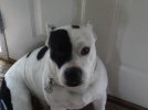 Picture006-1.jpg