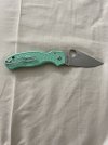 spyderco green 2.jpg