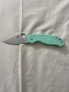 spyderco green 3.jpg