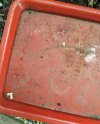 PXL_20230124_063704198.jpg