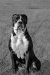 portraitMolly004-23.jpg