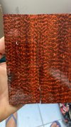 snakewood gyuto.jpg