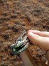 knife clip pic.jpg