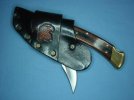 DSC07784-1.jpg