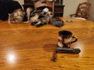 20230125_062854.jpg
