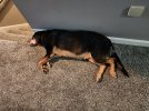 20230130_083831.jpg