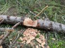 660DE27C-212A-4A35-90D8-5558C631D874.jpeg