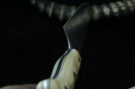 Stainless 240mm gyuto HHH Knives 042 (800x533).jpg