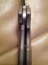 Large Sebenza Lignum 7.jpg Large Sebenza Lignum 7.jpg