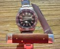 Senator Rose N Watch 3.JPG