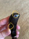 thumbnail_IMG_8479.jpg