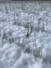 78844B60-5C0E-4D7B-BB12-EDBFC5FF002B.jpeg