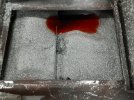 20230209_064616.jpg