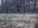 20230208_175929.jpg