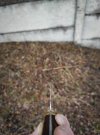 IMG_20230210_115716.jpg
