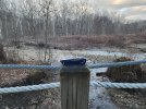 20230210_170038.jpg