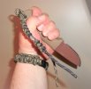 in hand no 2.jpg