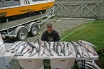Salmon1_zps7768ee3f.jpg
