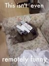 cat remote.jpg