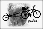 DirtDawg.jpg