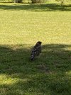 7C6D50D6-DE70-45F7-B899-D1539A9DAED5.jpeg