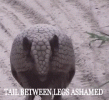 0DD0CA8F-8119-4EDB-9824-919F22D1C18D.gif