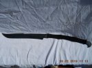 Advise sought Pics 042.jpg