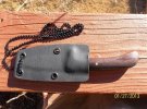 127131095cocosheath.jpg