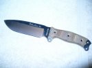 Busse SFNOLE #190.jpg Busse SFNOLE #190.jpg
