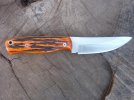 H1 Amber Stag Bone 2 75.jpg