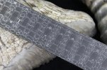 Damascus for sale 063 (800x533).jpg