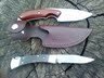 ALPHA Hunter and 110 NS 1.jpg