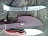 ALPHA Hunter and 110 NS 2.jpg