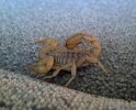 2012-07-07_16-57-27_476.jpg