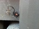 2012-07-07_16-52-24_300.jpg