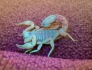 2012-07-07_16-57-56_704.jpg